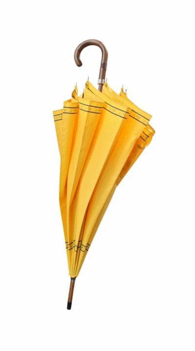 BARINDELLI e TREZZI - Gelber Regenschirm 