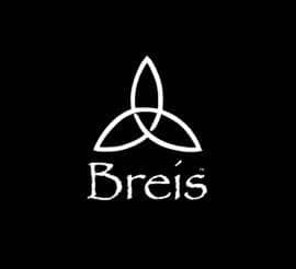 BREIS - Logo