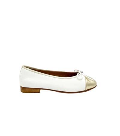 ALBERT - new collection 2025