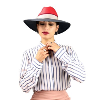 COMPLIT - АГНЕС