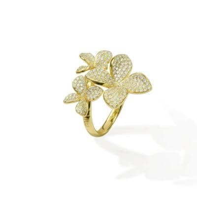 MISIS - Recolección de flora. Anillo 