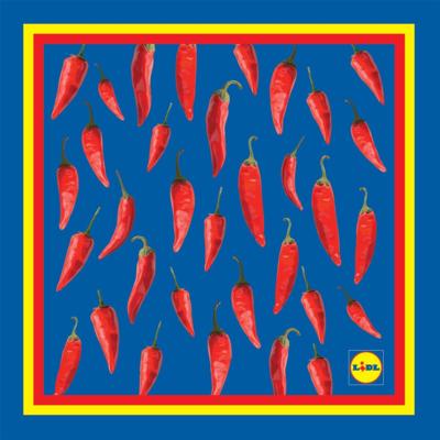 OLITEX - Lidl-Aktion 